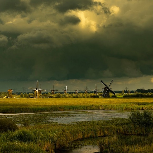 Meet your Posher, Monic - Picture 1 of 1